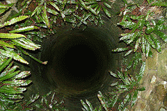 flickr:deep well