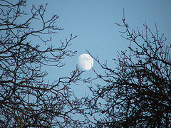 flickr:Mond