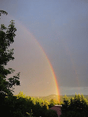 flickr:Regenbogen