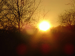 flickr:Sonnenaufgang
